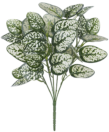 Folhagem Coleus Forracao Real Toque X45 Verde Branco 47cm