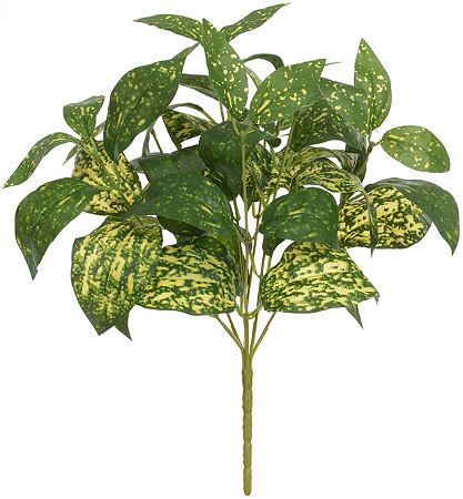 Folhagem Confete Forracao X48 Verde Creme 34cm