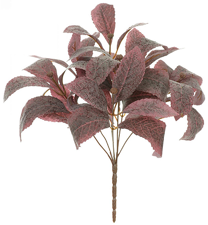 Folhagem Croton Forração C/Frosted X44 Vermelho Outono 35cm