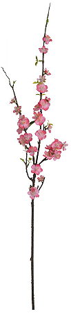 Haste Flor Cerejeira C/Coat X28 Rosa 1,07cm