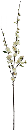 Haste Flor Cerejeira C/Coat X28 Creme 1,07cm