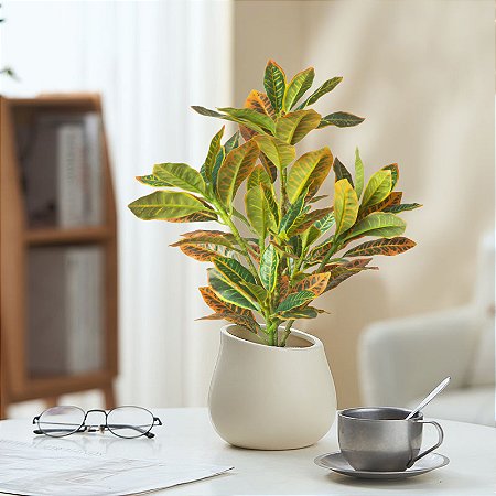 Plantas Artificial Croton De 24cm a 41cm Forração