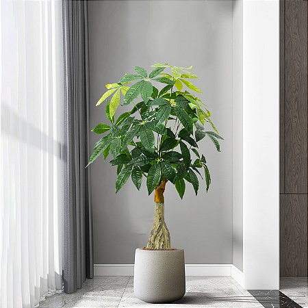 Planta Artificial Árvore Cheflera 95cm e 85cm Decoração ao Ar Libre, Tropical e Jardim