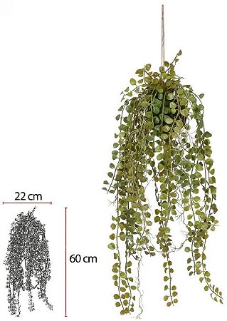Planta Artificial Folhagem Kokedama Dischidia Pendurar C/Print X36 Verde 1,06cm