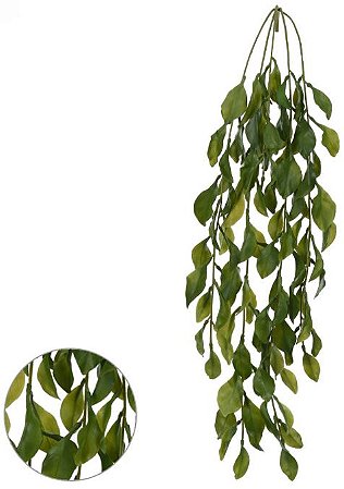 Planta Artificial Folhagem Dischidia Pendurar C/Print X97 Verde 80cm