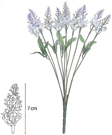 Buque Lavanda X10 Creme 33cm