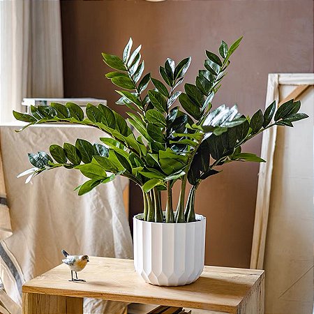 Planta Artificial Árvore Tropical Zamioculca Hastes 45cm - 65cm