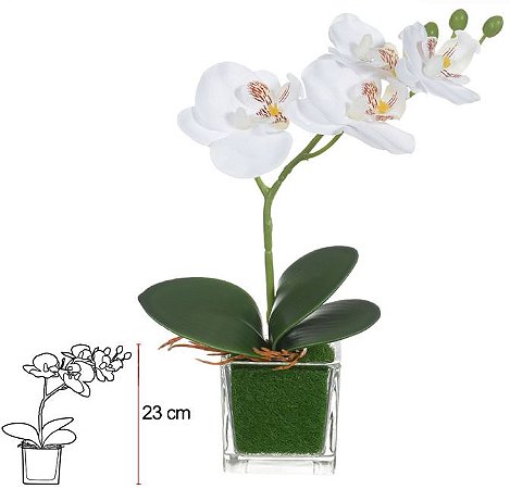 Haste Orquidea Phalaenopsis Real Toque C/Vaso De Vidro Branco Amarelo 23cm