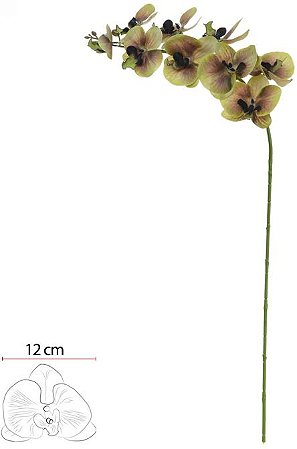 Haste Orquidea Phalaenopsis Real Toque X9 Verde 2T 96cm