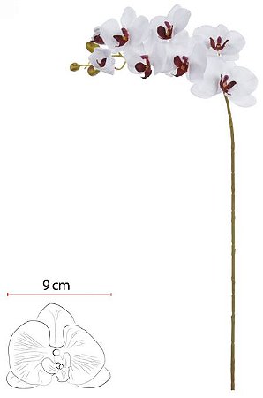 Haste Orquidea Phalaenopsis C/Coat Microp. X8 Branco Beauty 80cm