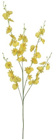Haste Orquidea Dacante X40 Amarelo 93cm