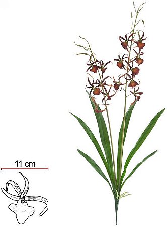 Haste Orquidea Spider C/Coat C/Folha X13 Vermelho 85cm