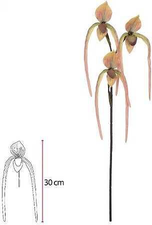 Haste Orquidea Sapatinho Real Toque C/Coat X3 Laranja 78cm