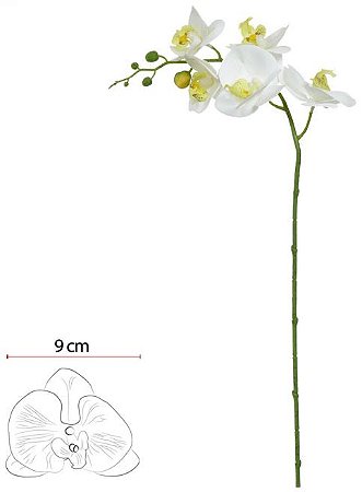 Haste Orquidea Phalaenopsis Real Toque X5 Branco Verde 65cm