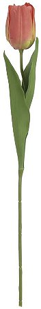 Haster Tulipa Cetim Laranja 63cm