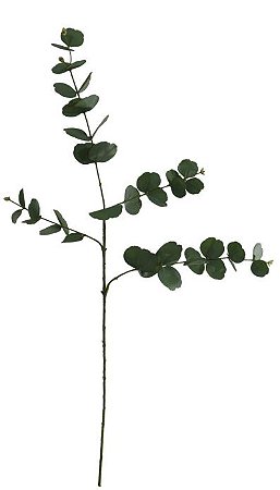 Planta Artificial Galho Eucalipto Real Toque 3D X39 Verde 85cm