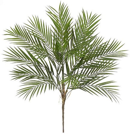 Planta Artificial Folhagem Palmeira C/Print X16 Verde 68cm