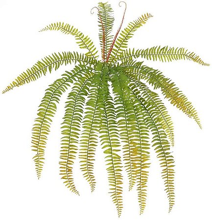Planta Artificial Folhagem Samambaia C/Print X15 Verde Outono 70cm