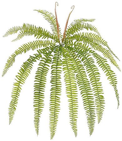 Planta Artificial Folhagem Samambaia C/Print X15 Verde 70cm