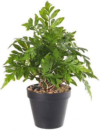 Planta Artificial Folhagem Samambaia C/Pote Plastico X22 Verde 22cm