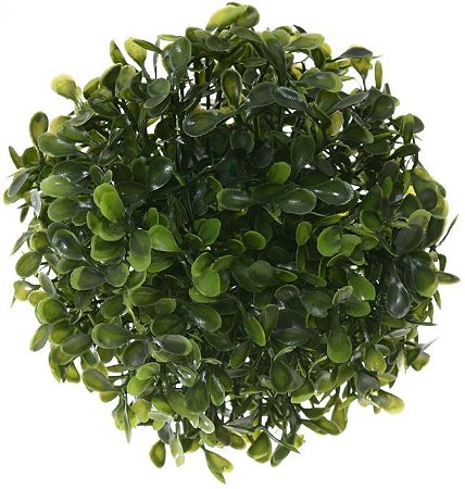 Folhagem Grama Buchinho Verde 13cm