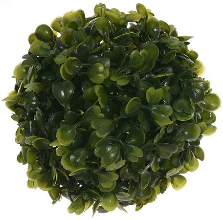 Folhagem Grama Buchinho Verde 13cm