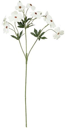Haste Cosmo Real Toque X10 Creme 65cm