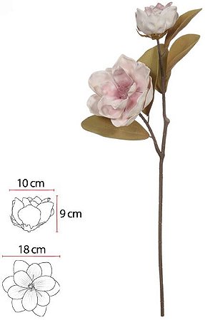 Haste Magnolia Eva X2 Creme Rosa Outono 88cm