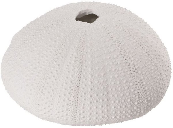 Vaso Decorativo Poliresina Coral Branco 4,5cm