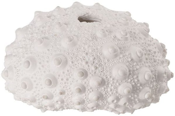 Vaso Decorativo Poliresina Coral Branco 4,5cm