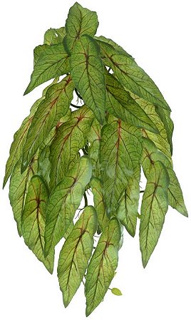 Planta Artificial Folhagem Begonia Maculata Pendurar X29 Verde 2T 45cm
