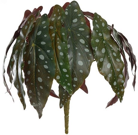 Planta Artificial Folhagem Begonia Maculata Forracao Real Toque Toque X14 Verde Purpura 26cm