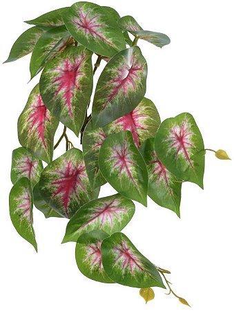 Planta Artificial Folhagem Caladium Pendurar X23 Verde Rosa 28cm