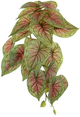 Planta Artificial Folhagem Caladium Pendurar X23 Creme Rosa 28cm