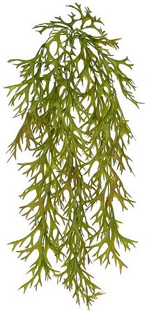 Planta Artificial Folhagem Chifre De Veado Pendurar X95 Verde Outono 81cm