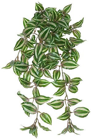 Planta Artificial Folhagem Lambari Pendurar C/Uv X114 Verde Purpura 60cm