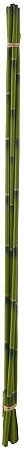 Planta Artificial Bamboo Amarrado C/Fita X6 Verde 75cm