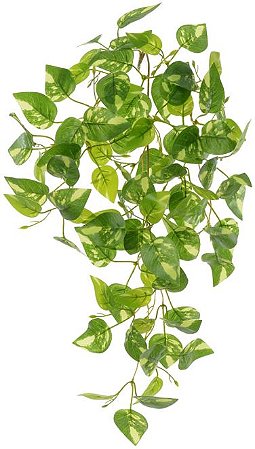 Planta Artificial Folhagem Jiboia Pendente Real Toque X84 Verde Creme 60cm