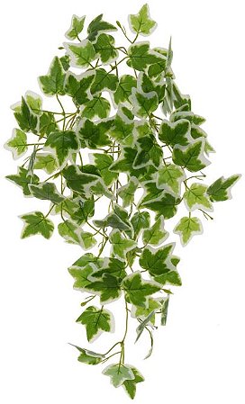 Planta Artificial Folhagem Hera Pendente Real Toque X84 Verde Branco 60cm