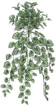 Planta Artificial Folhagem Melancia Pendente X180 Creme Verde 80cm