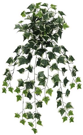 Planta Artificial Folhagem Hera Pendente X180 Verde Creme 80cm