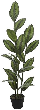 Planta Artificial Arvore Calathea Real Toque C/Pote X19 Verde 1.2m