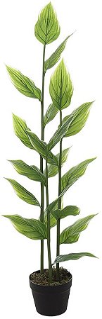 Planta Artificial Arvore Hosta Real Toque C/Pote X19 Verde Creme 1.2m