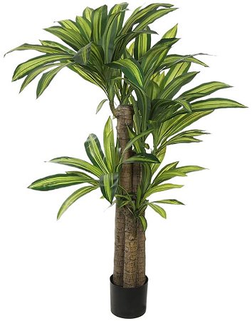 Planta Artificial Arvore Dracena Pau D'Agua Real Toque C/Pote Pu X130 Verde Creme 1.3m