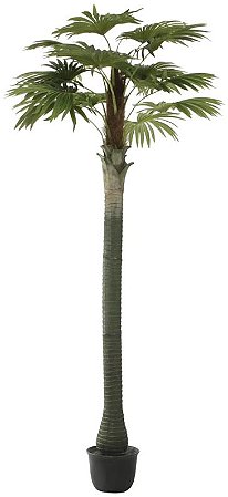Planta Artificial Arvore Palmeira Leque C/Pote X15 Verde 3.2m