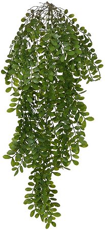 Planta Artificial Folhagem Jasminum Pendentes X125 Verde 1.02m