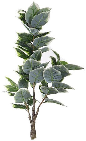 Planta Artificial Arvore Hosta Real Toque X47 Verde Creme 1,2m