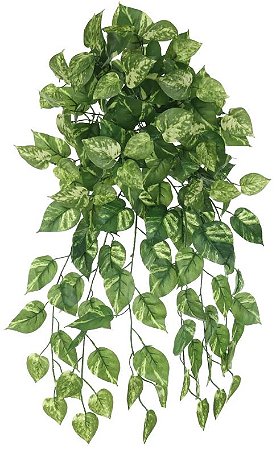 Planta Artificial Folhagem Jiboia Pendentes X 168 Verde Creme 64cm