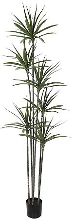 Planta Artificial Arvore Yucca C/Pote X120 Verde 2.2m
