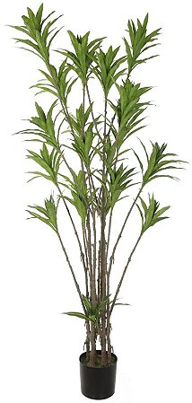 Planta Artificial Arvore Dracena Reflexa C/Pote X292 Verde 2T 2.02m